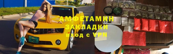 индика Балабаново