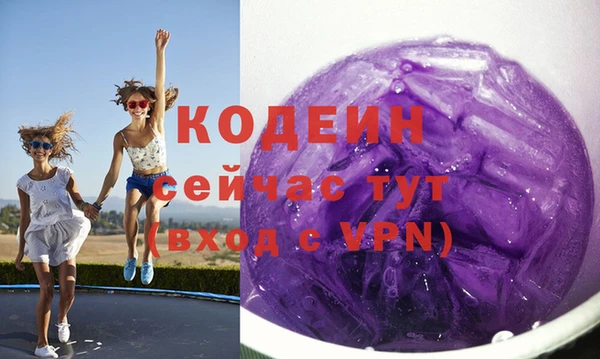 индика Балабаново