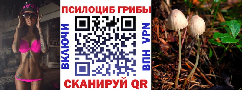 дарнет шоп  Сегежа  блэк спрут онион  Галлюциногенные грибы ЛСД 